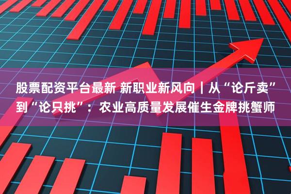 股票配资平台最新 新职业新风向｜从“论斤卖”到“论只挑”：农业高质量发展催生金牌挑蟹师