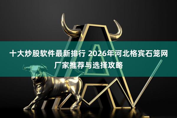 十大炒股软件最新排行 2026年河北格宾石笼网厂家推荐与选择攻略